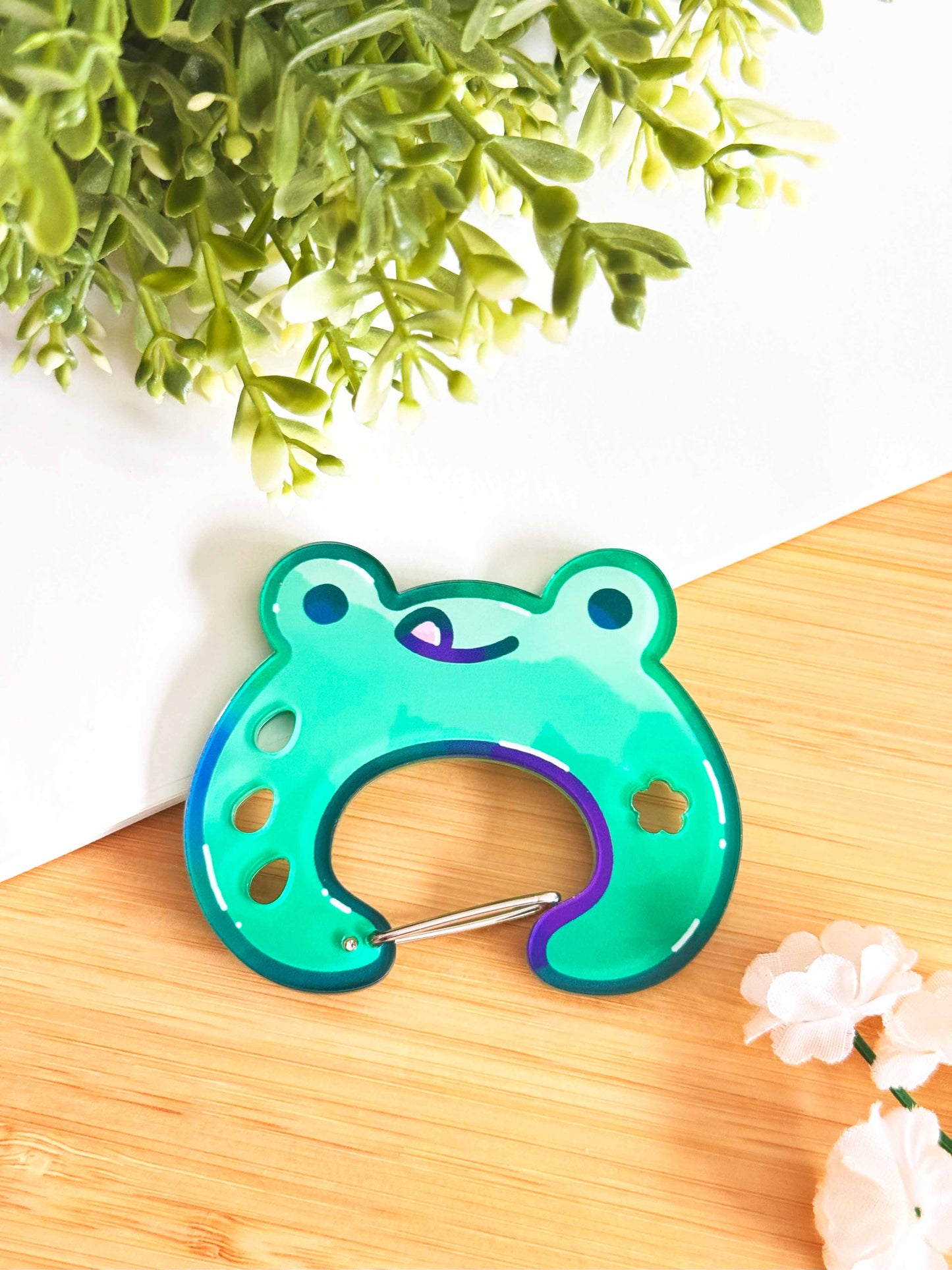 Frog Acrylic Carabiner