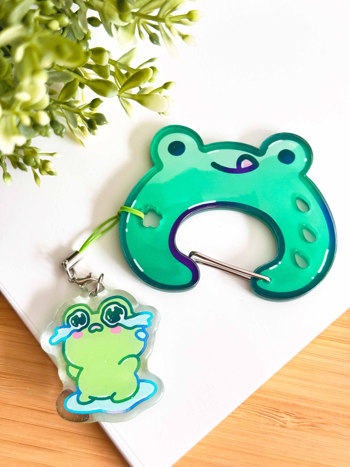 Frog Acrylic Carabiner
