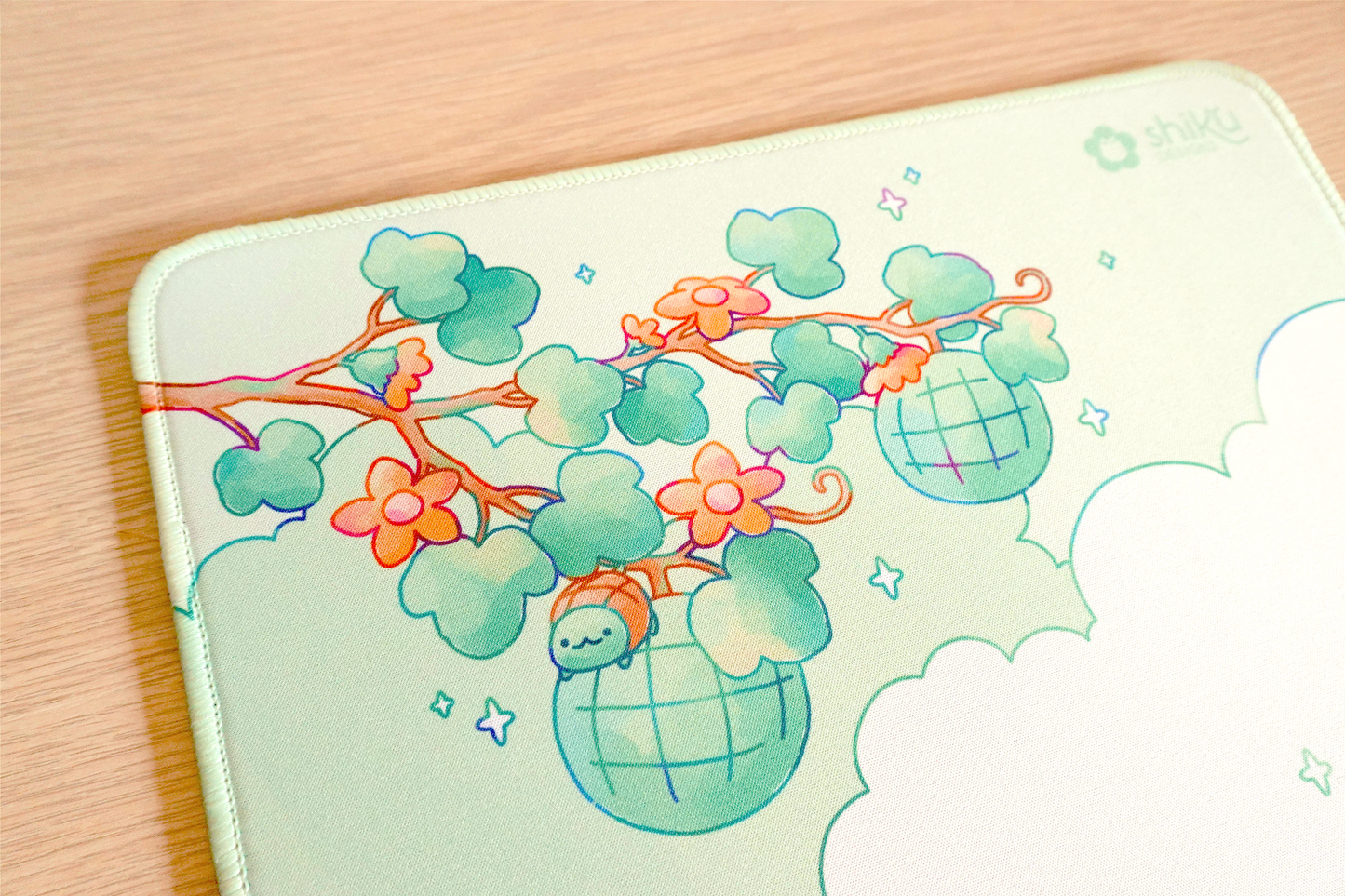 Melon Turtle Mouse Pad