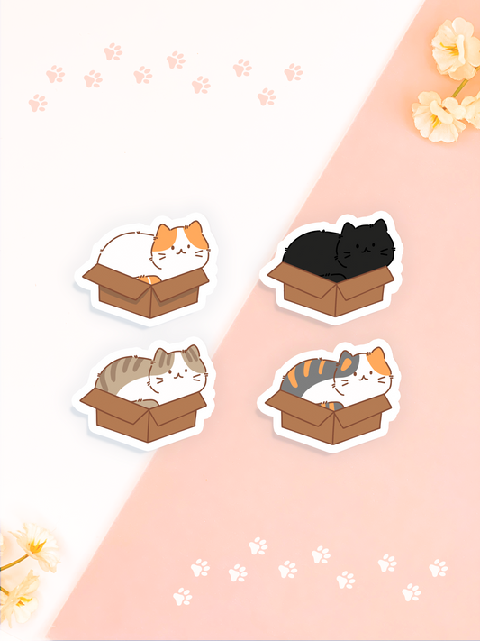 Cat in Boxes Stickers