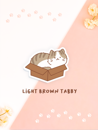 Cat in Boxes Stickers